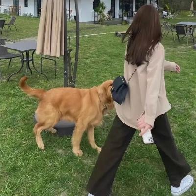 稚女情深